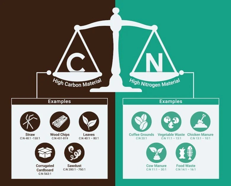 The Essential Role of the Carbon Nitrogen Ratio in Composting