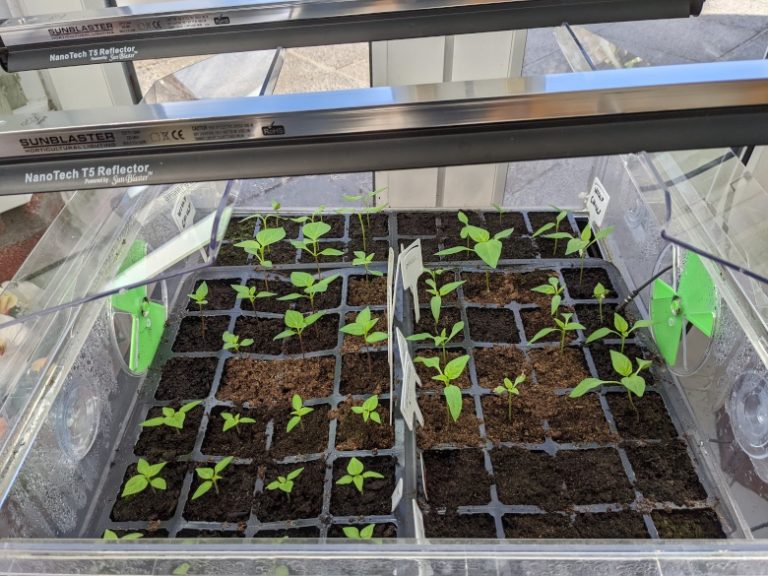 How to Use Compost For Maximum Effect Compost Magazine