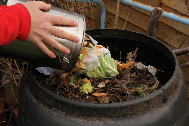 9 Easy Ways To Stop Kitchen Compost Bins From Smelling Compost Magazine