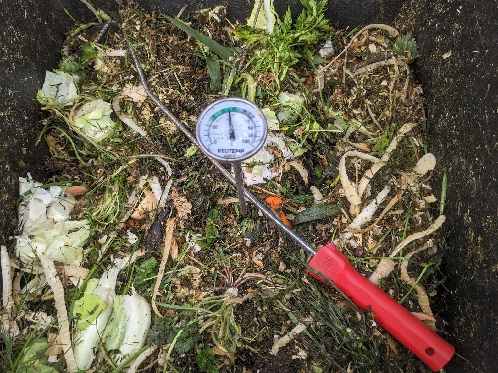 How to Use a Compost Bin (The Only Guide You’ll Ever Need)