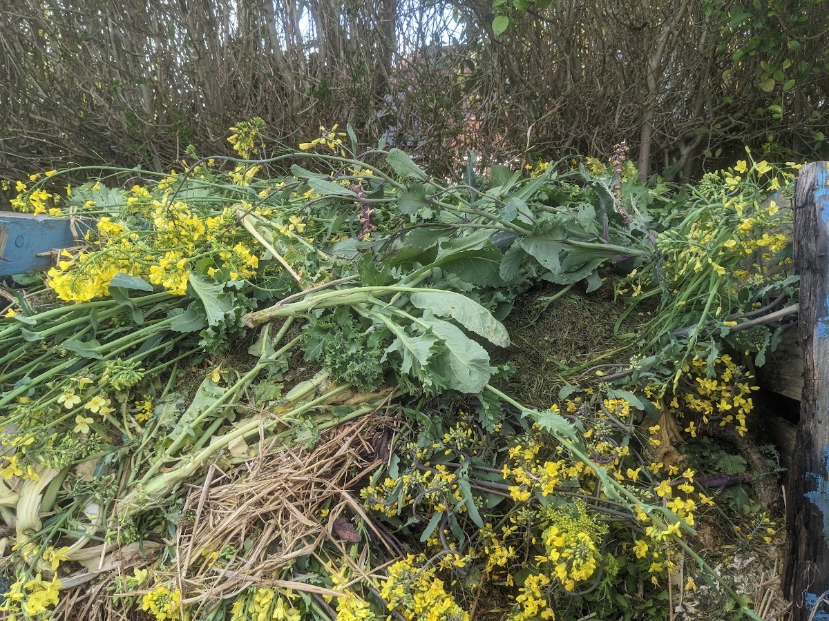 Compost Pile vs. Compost Bin Which Is Best For Your Garden? Compost