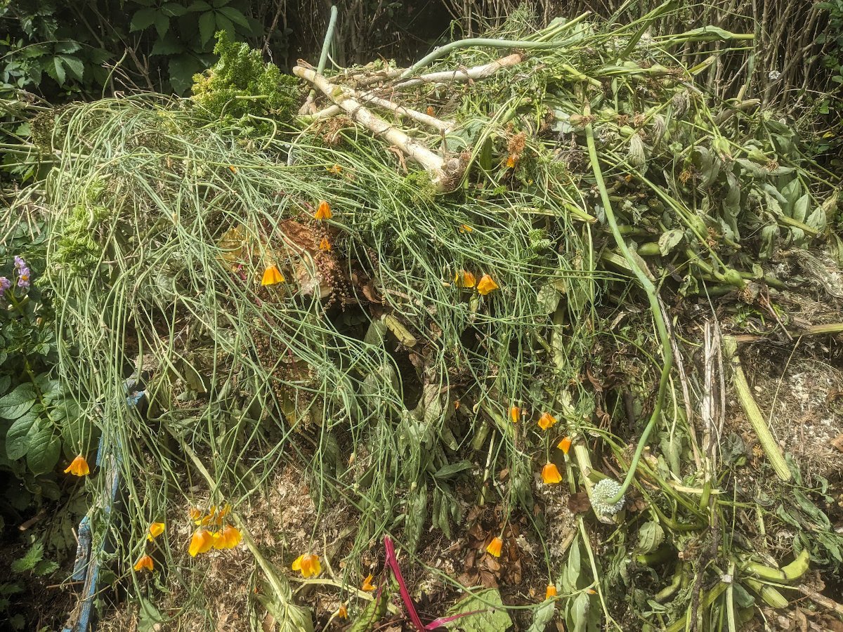 Compost Activators Do They Work? (Plus 6 Free Alternatives)