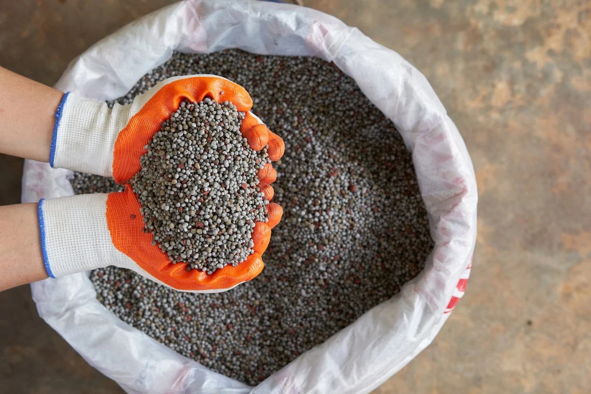 Lime Increases Compost Speed and Maturity Finds Study Compost Magazine