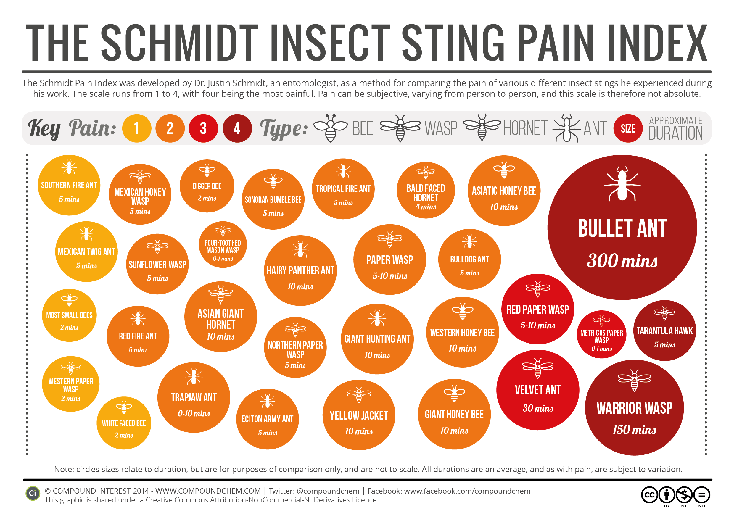 Ms J's Chemistry Class Chemistry Of Insect Venom