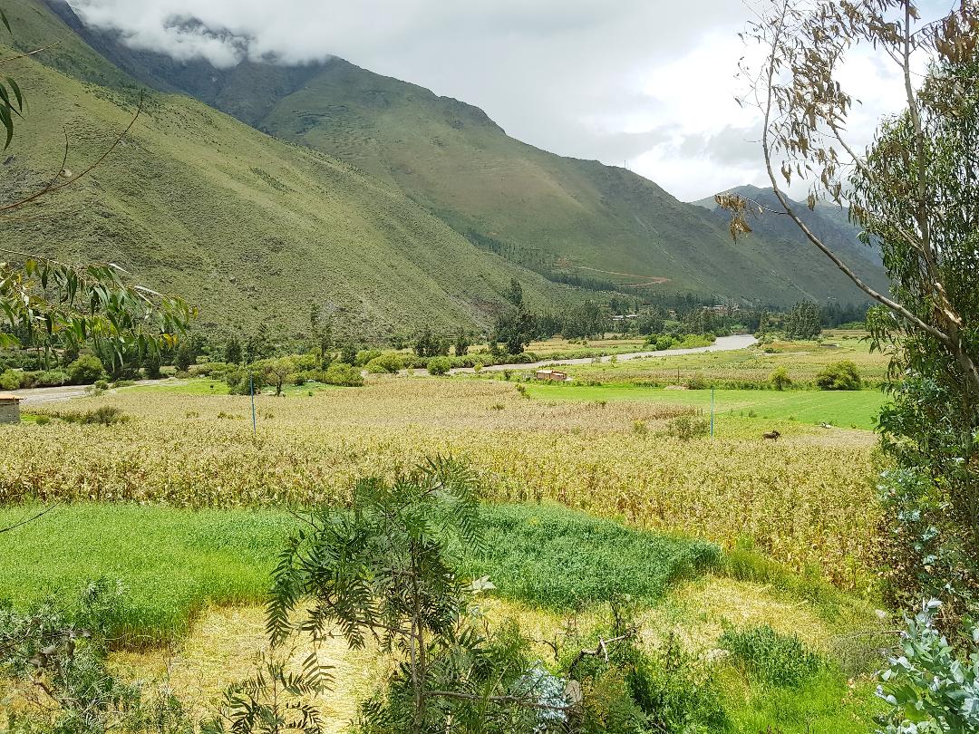 TERRENO EN OLLANTAYTAMBO, CUSCO, UNA REAL BELLEZA DE 9750 M2 Compra o