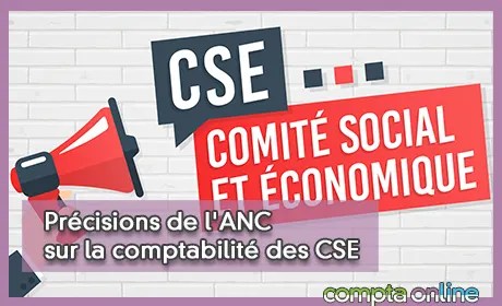 Comptabilité des CSE : les règles applicables