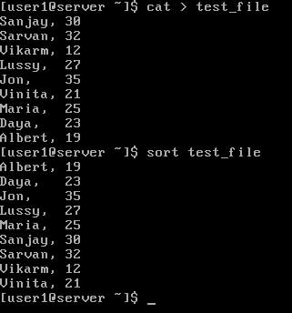 How to Use the sort Command in Linux
