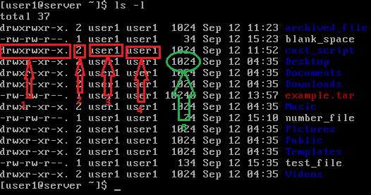 How to Use the sort Command in Linux