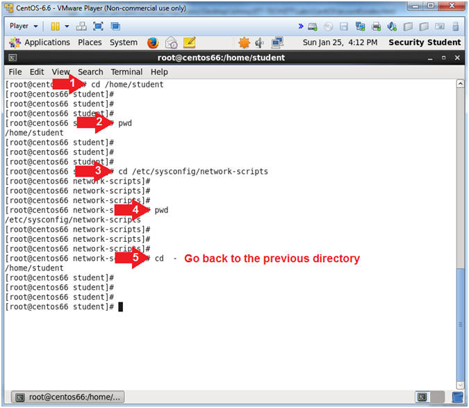 CentOS 6.6 Lesson 6 Basic whoami, ls, cat, more, mkdir, cp, mv, rm
