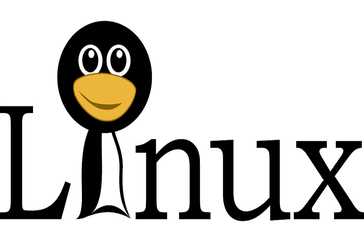 What is Linux? Definition, Uses, Installation Process and More