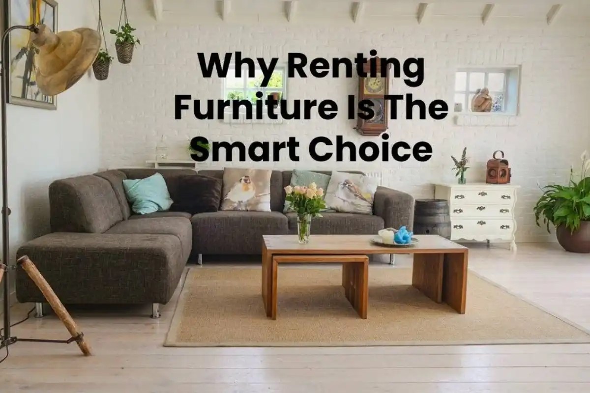 Renting Furniture Is The Smart Choice [2024]