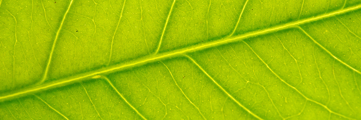 Getting started with measuring AI’s carbon footprint | Computer Weekly Getting started with measuring AI’s carbon footprint | Computer Weekly