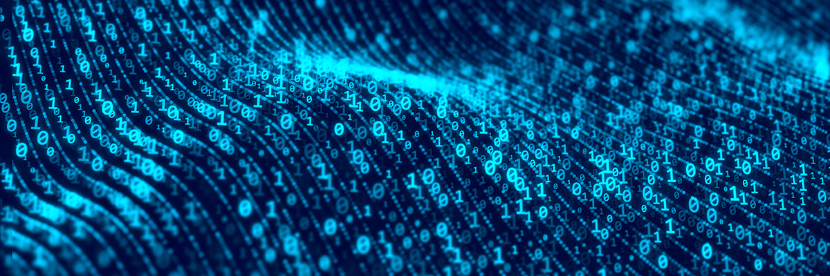 Digital ID risks turning UK into ‘Checkpoint Britain’   | Computer Weekly