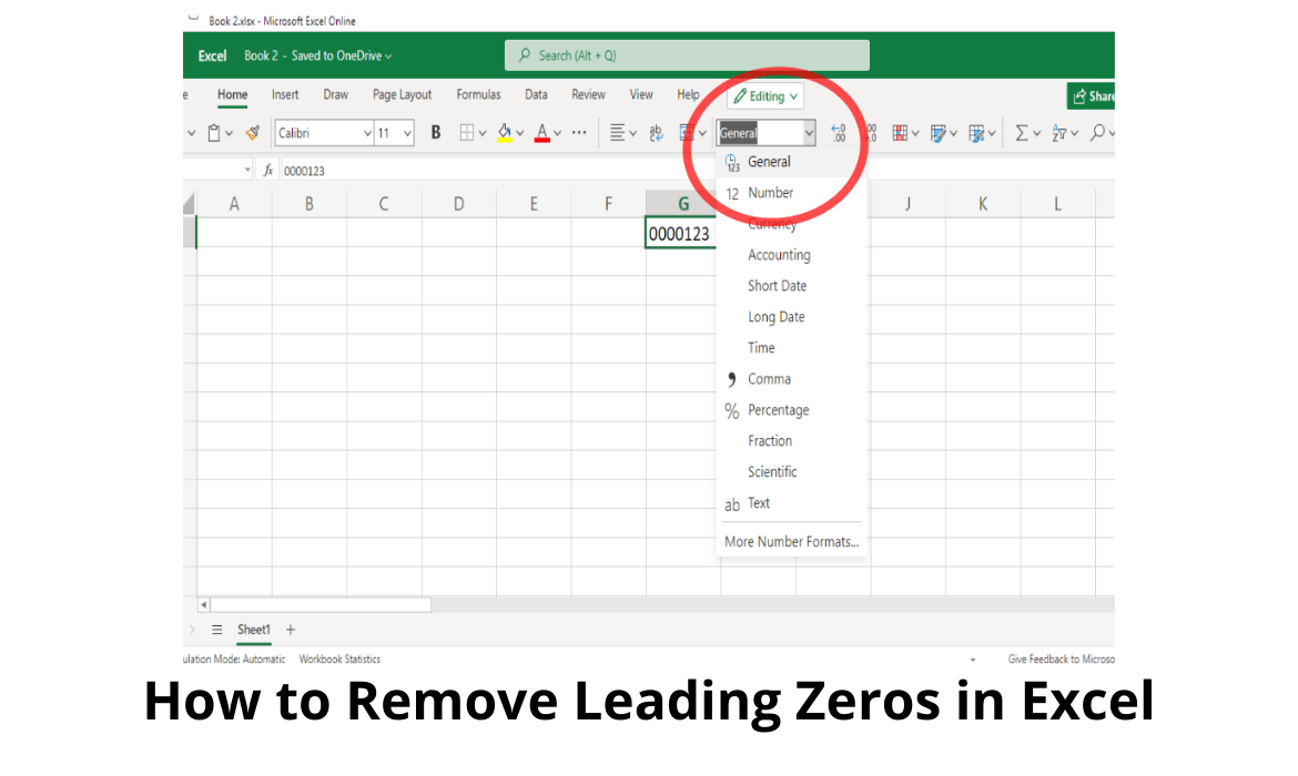 Remove Leading Zeros in Excel How to Guide!