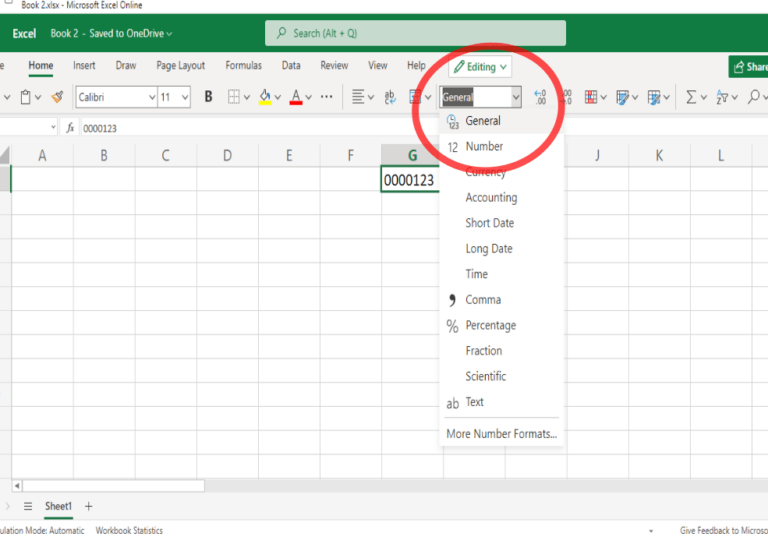 Remove Leading Zeros in Excel How to Guide!