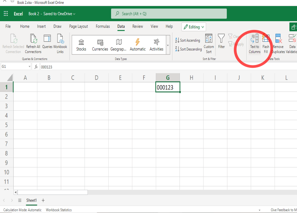 Remove Leading Zeros in Excel How to Guide!