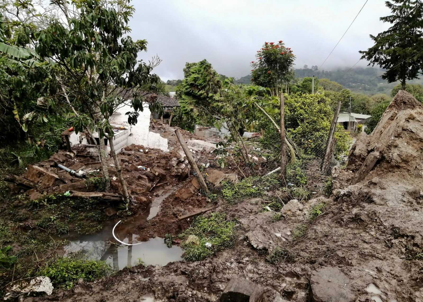 International Coffee Partners provides emergency relief after Hurricanes