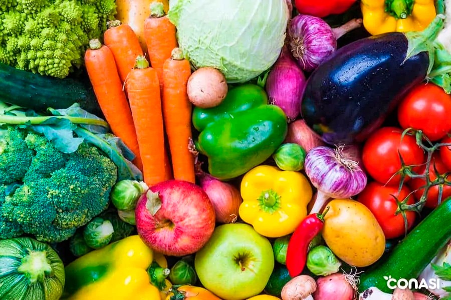Fitoquímicos moléculas protectoras para plantas y para