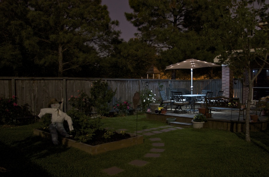Backyard at Night