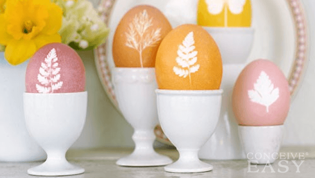 Infertility Causes Poor Egg Quality