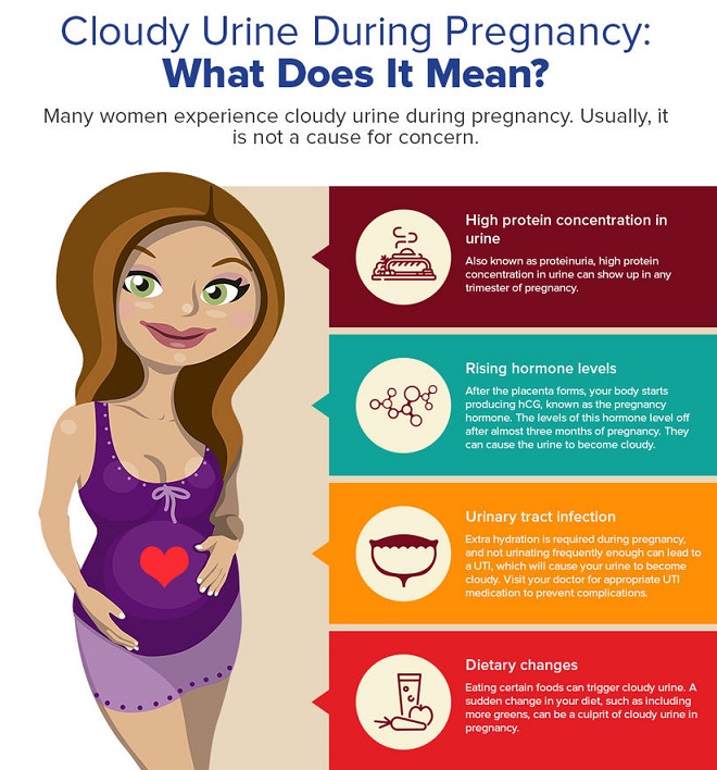 Spotting vs. Period Is It Aunt Flo or Early Pregnancy Bleeding