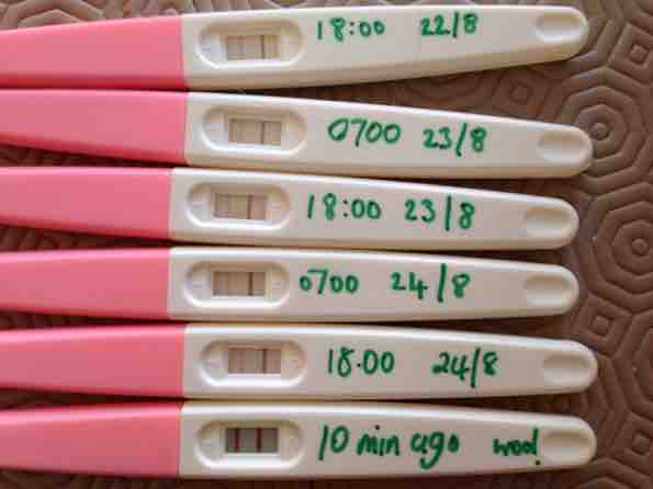 Tips and Tricks on How to Use an OPK