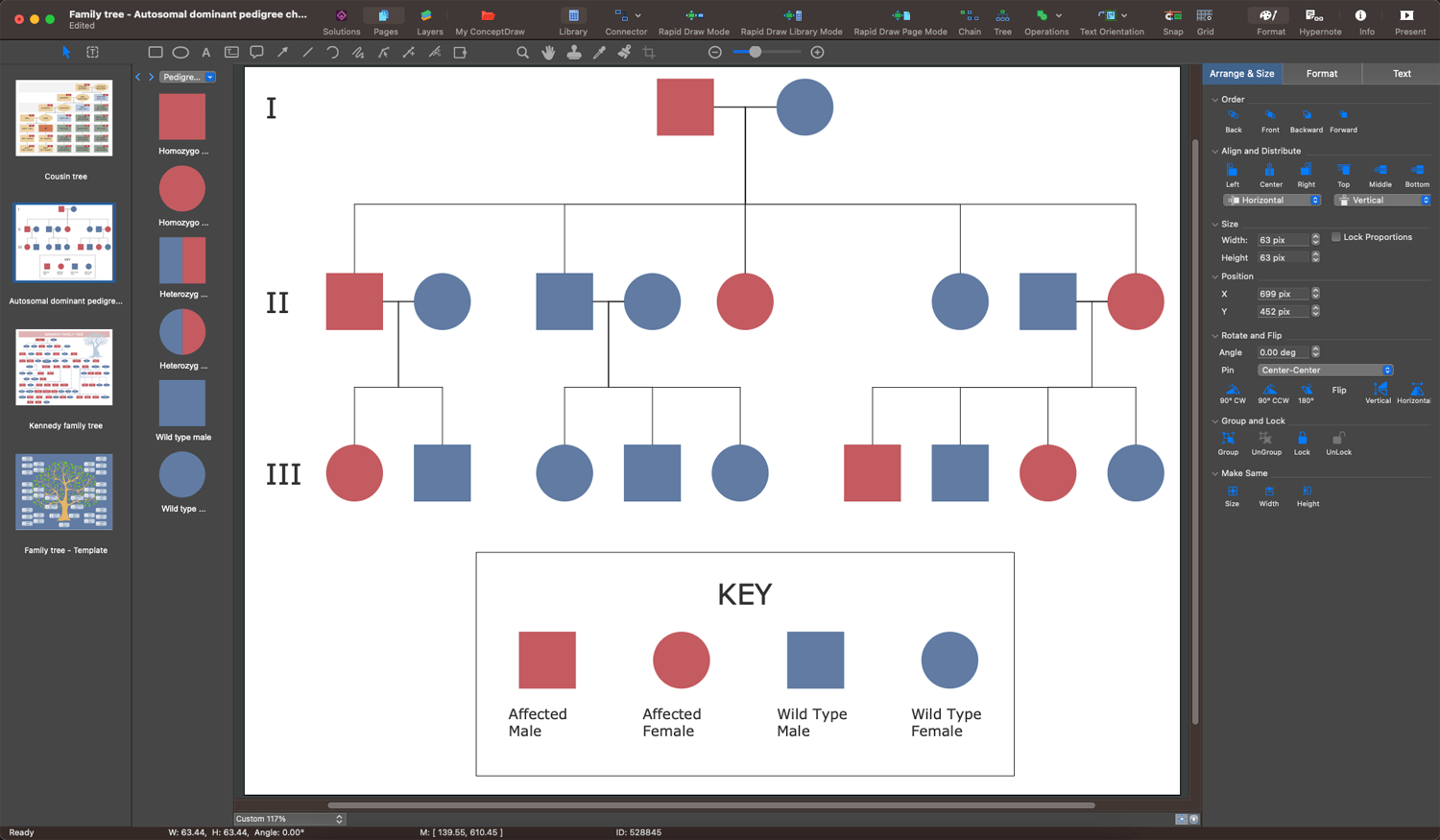 Creating a Family Tree