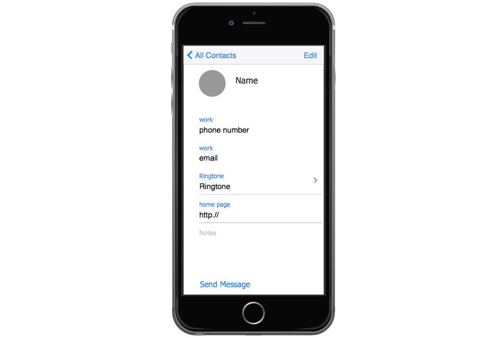 iPhone User Interface Solution