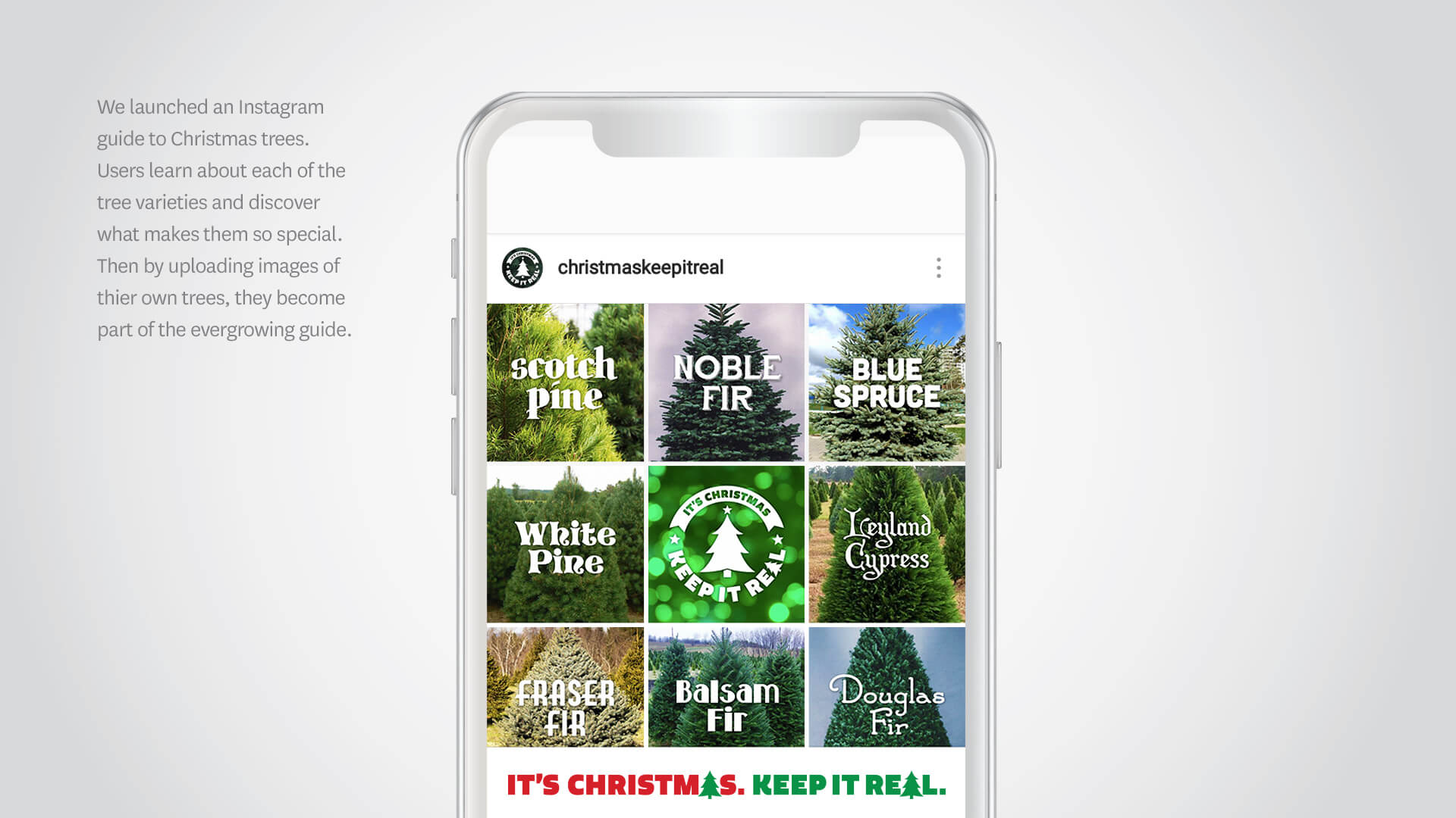 Christmas Tree Promotion Board Concept Farm
