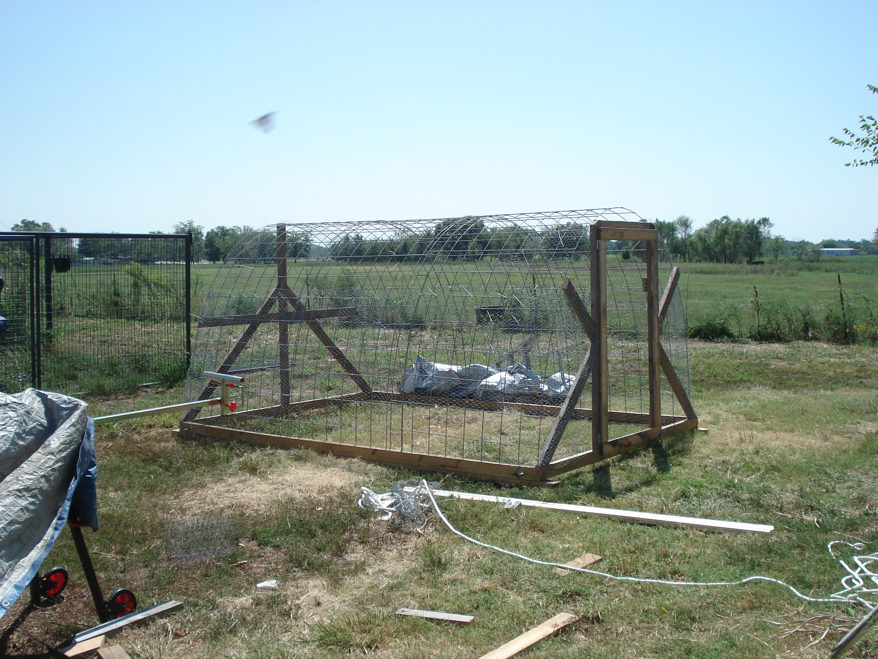 Chicken Tractor Hoop House « Concharty Heritage Acres