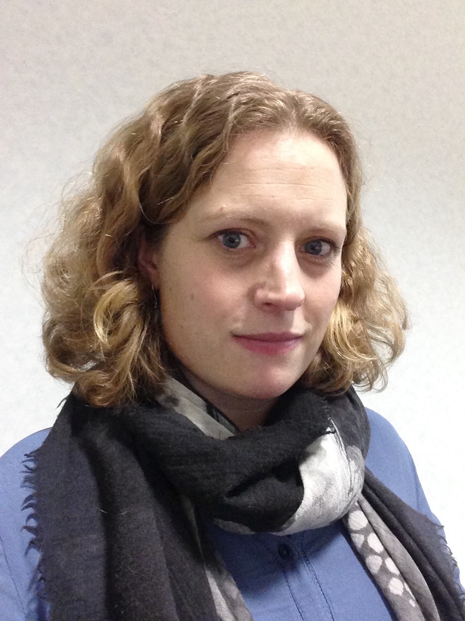 The Team The Conclude Consultancy