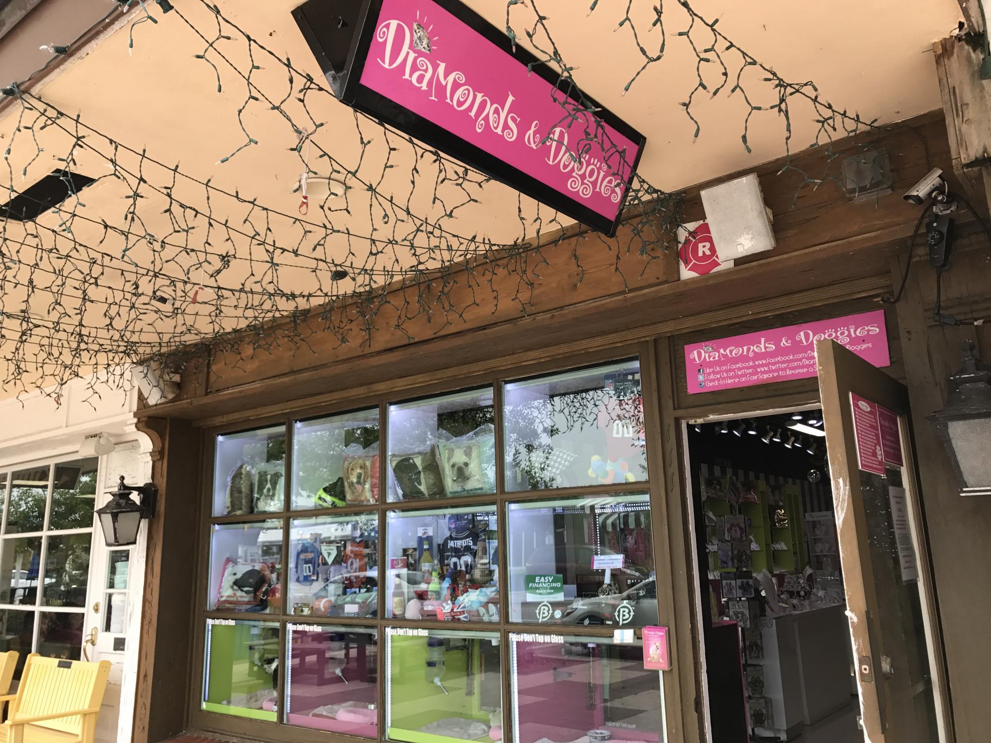 Diamonds and Doggies in LauderdaleByThe Sea, FL