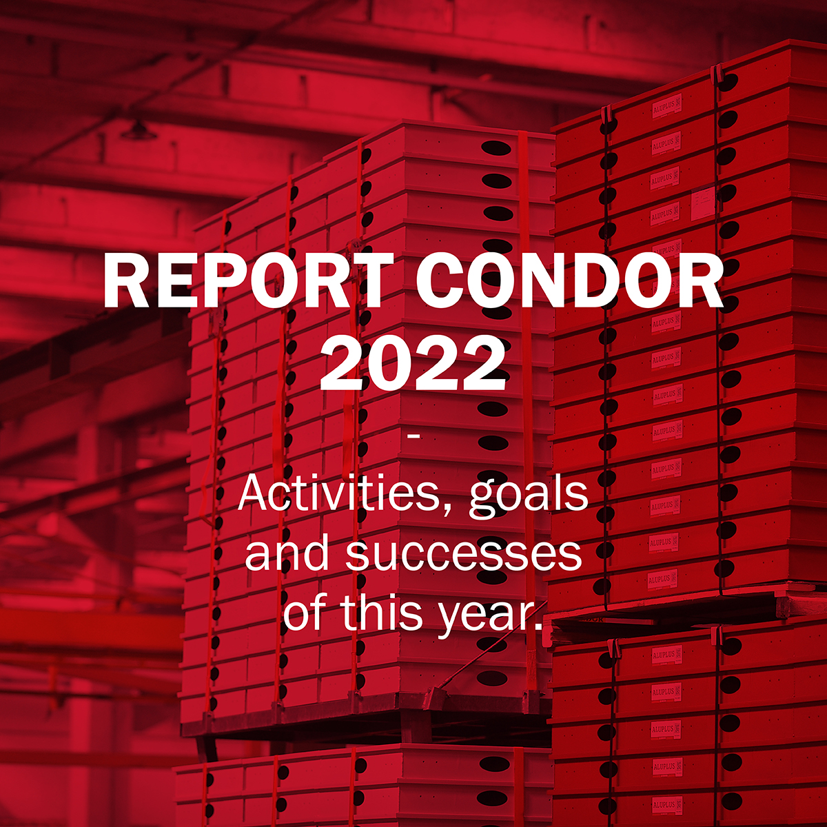 Condor's Annual Report celebrates a stellar 2022