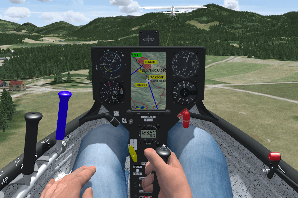 LS3 A Condor Soaring