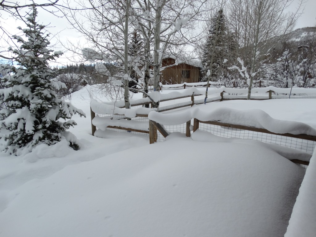 Steamboat Powder Hounds Carving Up This Morning’s 28 inches of Freshies