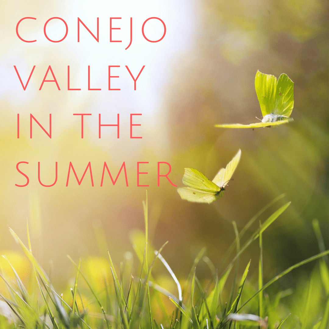 Conejo Valley Weather Summer Edition Conejo Valley Guy