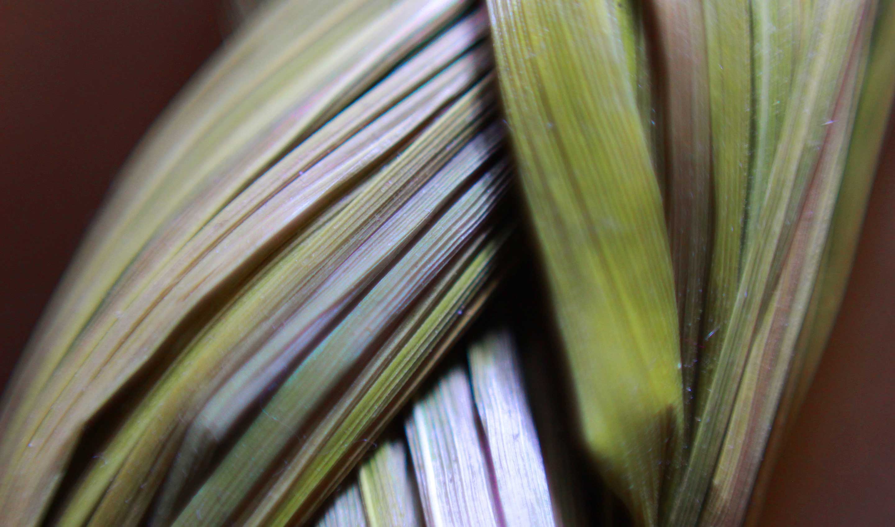 Braiding Sweetgrass: Indigenous Wis..., Kimmerer, Robin