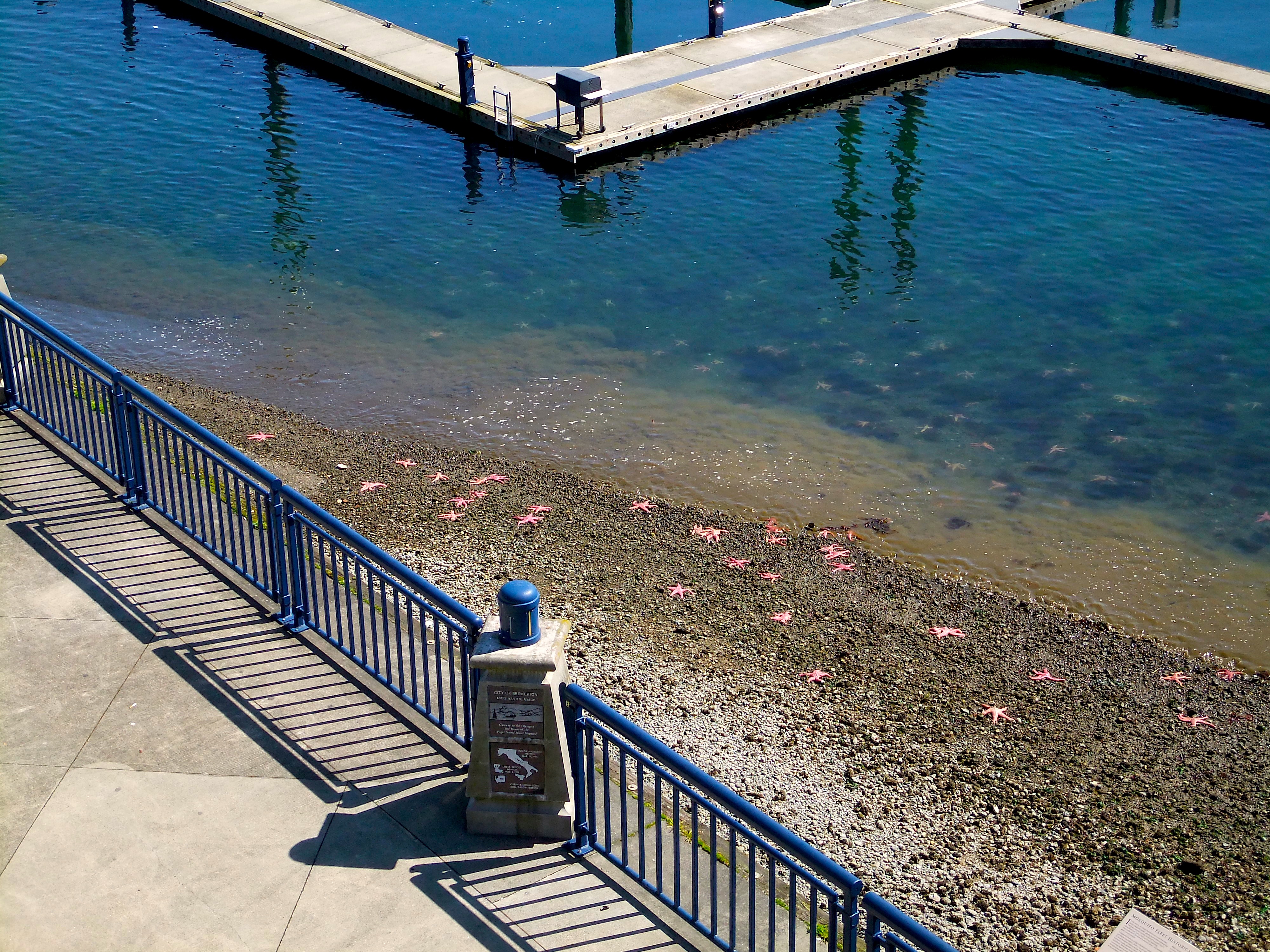 Security Connection Credit Union