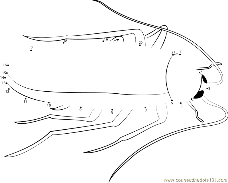 Cockroach dot to dot printable worksheet Connect The Dots