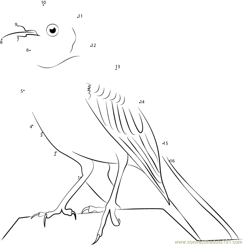 Mockingbird Pic dot to dot printable worksheet Connect The Dots