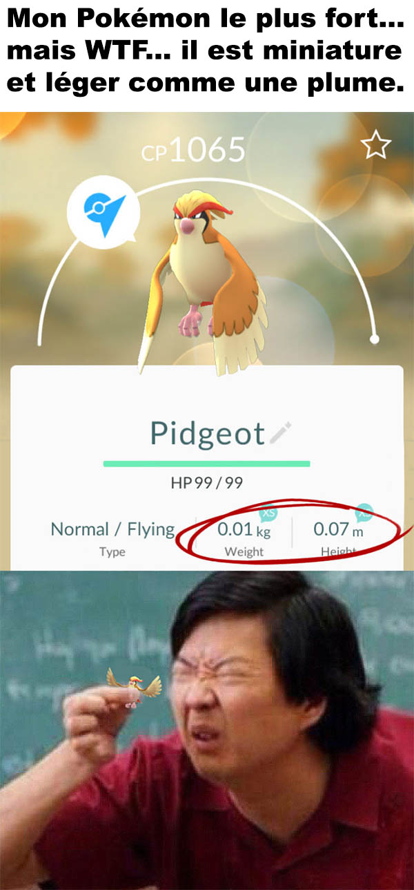 Mon Pokémon le plus fort ConneriesQc