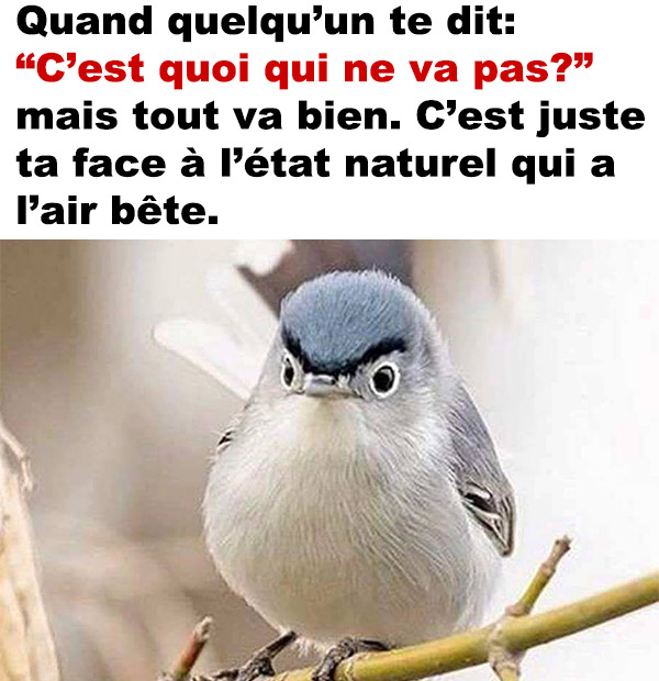 C'est quoi qui ne va pas