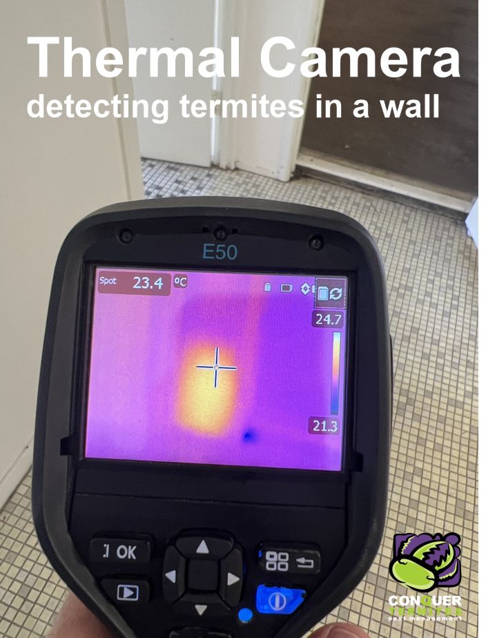 How a Thermal Camera is used in a termite inspection Brisbane