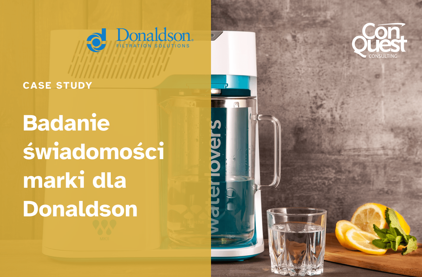 Brand awareness research for Donaldson Poland ConQuest Consulting