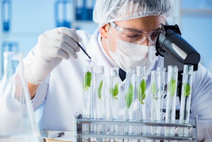 What is Biotechnology Types, Examples, Branches and Applications