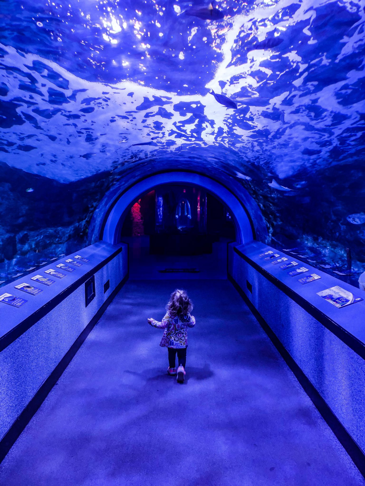 Top Spots To See Animals In Cincinnati An Animal Week Adventure