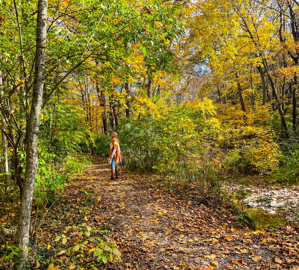 11 Enchanting Things To Do In the Fall In Ohio