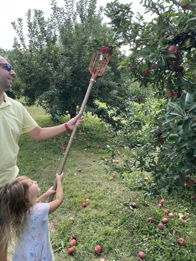 The Top Ten Spots To Go Apple Picking Near Cincinnati