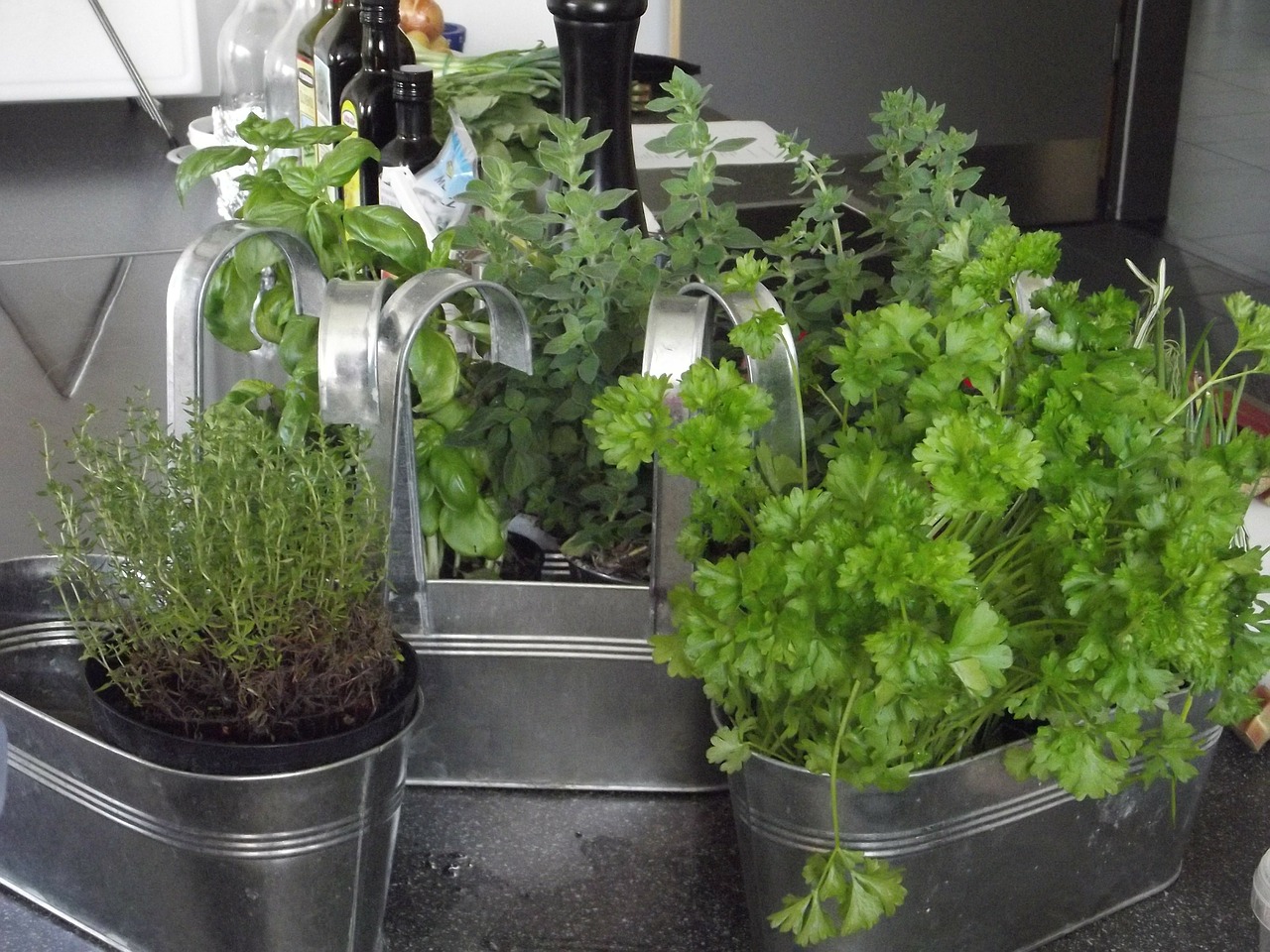 Un jardin aromatique sur son balcon Consofutur