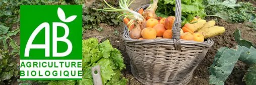 Les Fausses Promesses Du Bio Industriel